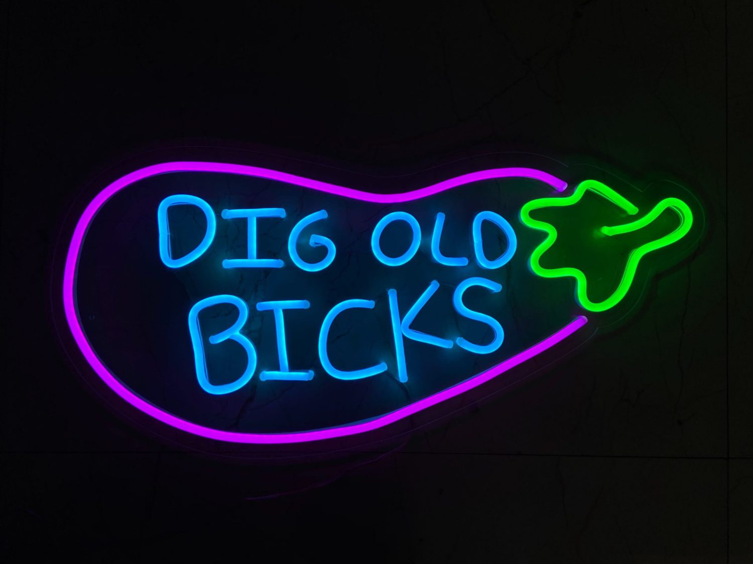 Dig Old Bicks Neon Sign - Neonize